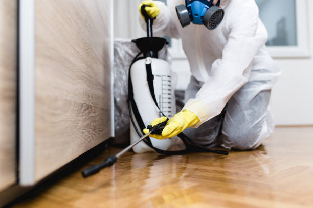 Best Pest Prevention Services  in Bethalto, IL