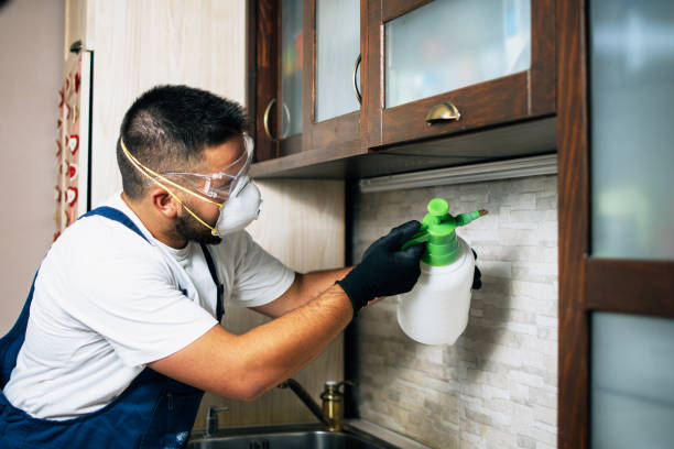Best Exterminator Services  in Bethalto, IL