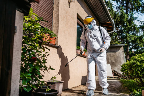 Best Best Pest Control Companies  in Bethalto, IL