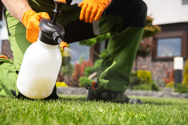 Best Best Pest Control Companies  in Bethalto, IL