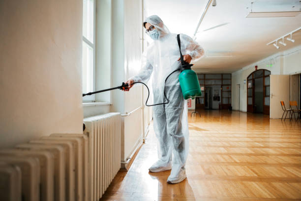 Best Flea Control Services  in Bethalto, IL