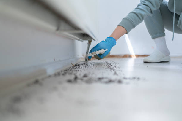 Best Best Pest Control Companies  in Bethalto, IL