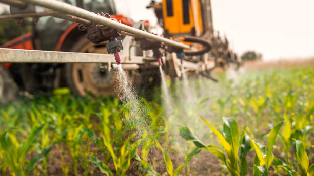 Best Mosquito Control Services  in Bethalto, IL